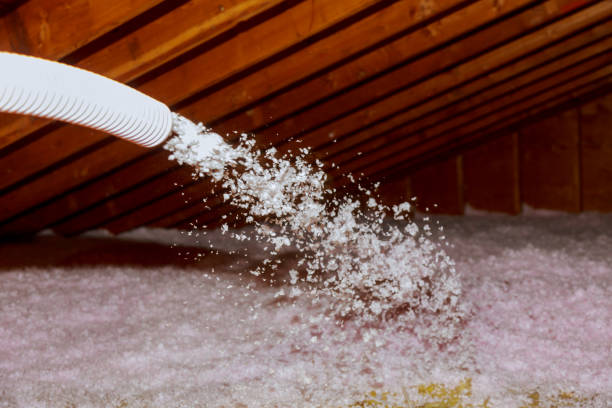 Best Insulation for Specific Applications in Watertown, FL